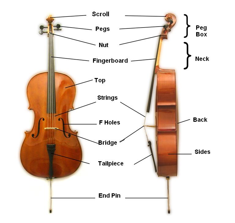 Cello Parts - Music Makers Calgary
