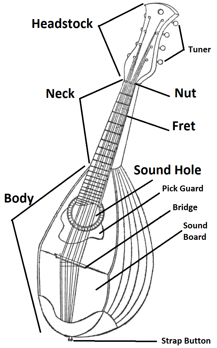 free printable mandolin neck diagrams